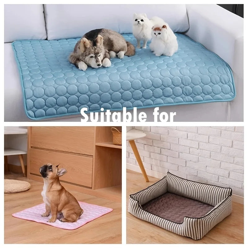 Tapis de glace d'été idéal pour chiens et chats, durable et confortable